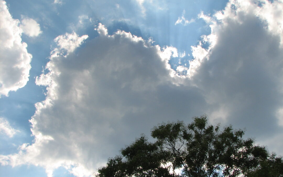 tree_clouds_sunray10-0730