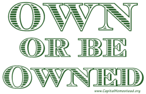 Own or be Owned Logo in Green Currency Font